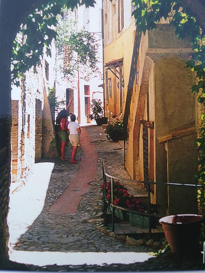 Petite Fleur D'Azur Bed & Breakfast Cagnes-sur-Mer Eksteriør bilde